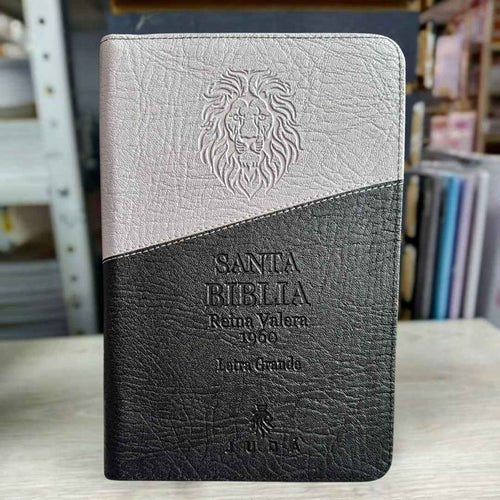 Biblia Reina Valera 1960 | Edicion LETRA GRANDE